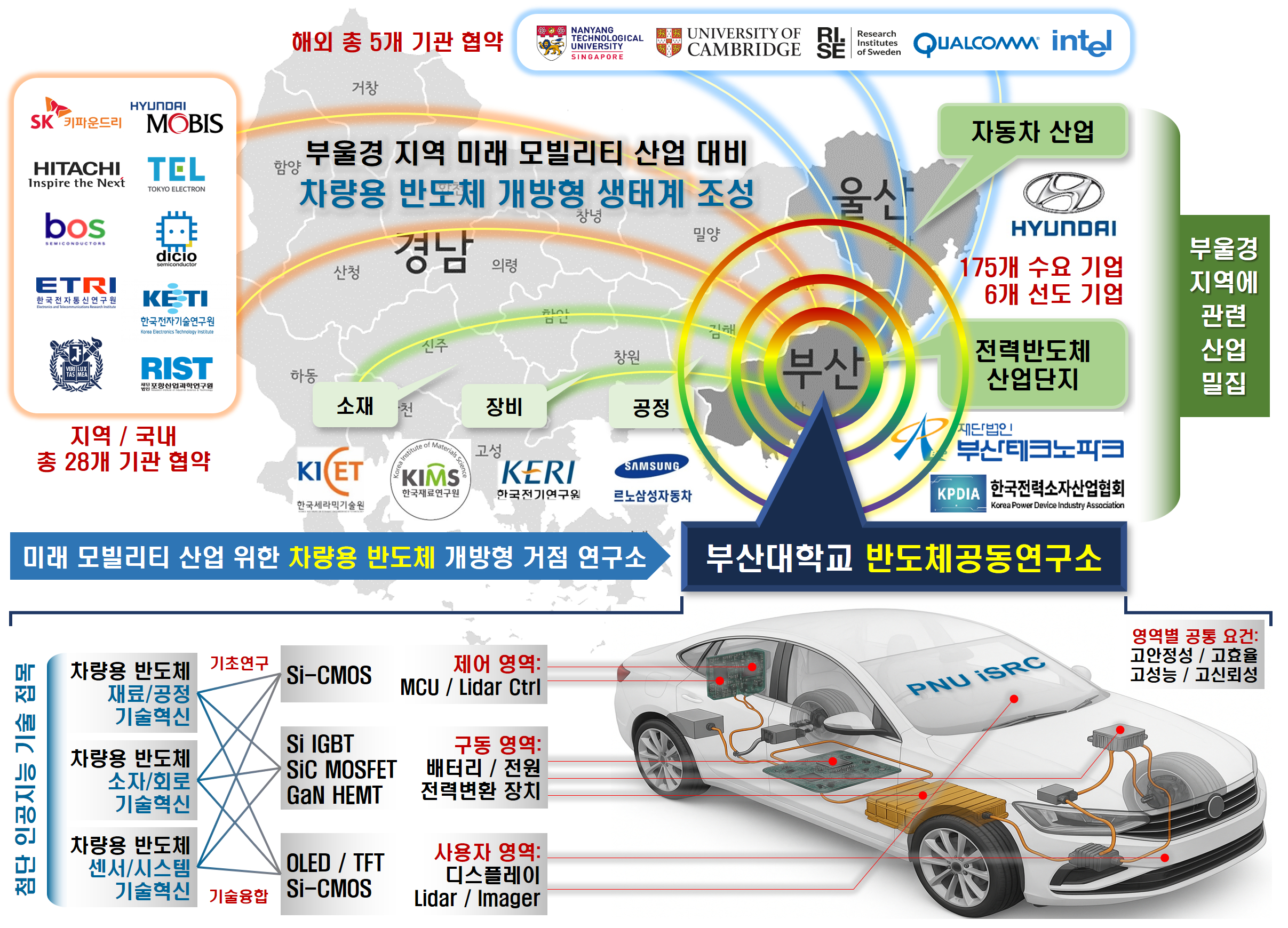 비전 모식도